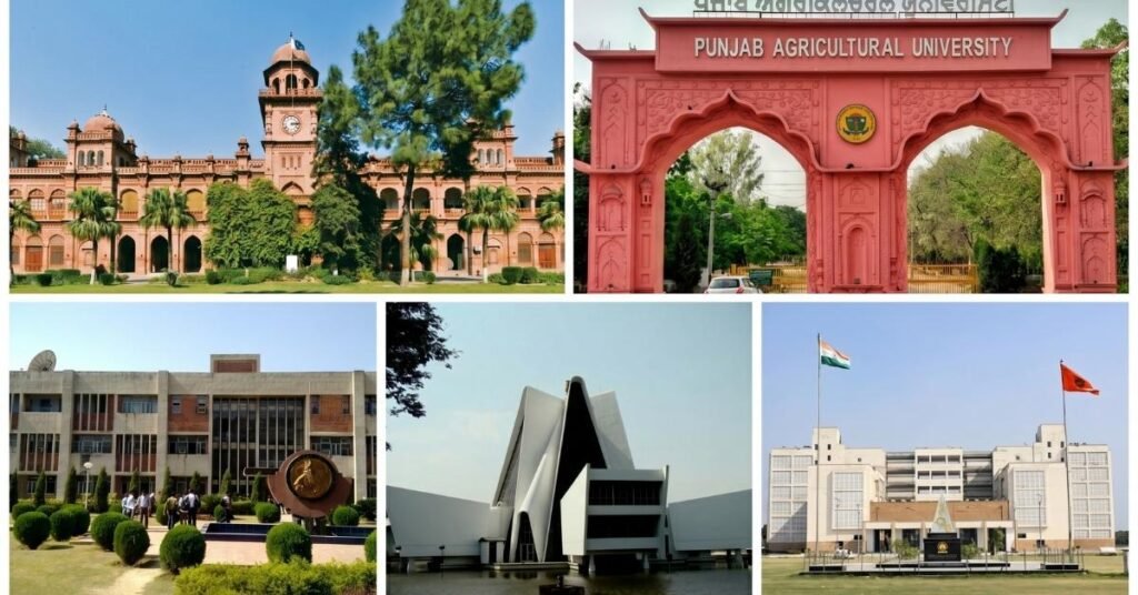 top universities in punjab