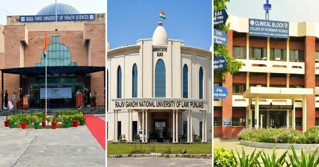 top universities in punjab