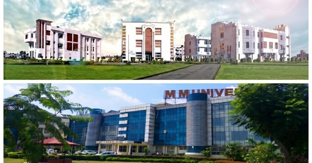Top University in Haryana